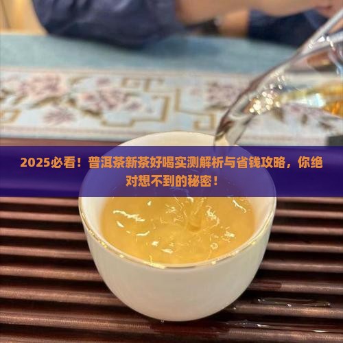 普洱茶新茶好喝
