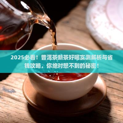 普洱茶新茶好喝