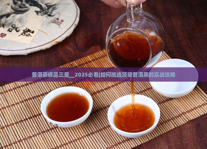 普洱茶极品三星