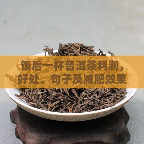 饭后一杯普洱茶利润