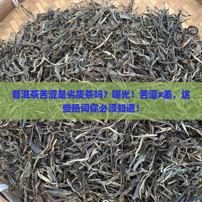 普洱茶苦涩是劣质茶吗