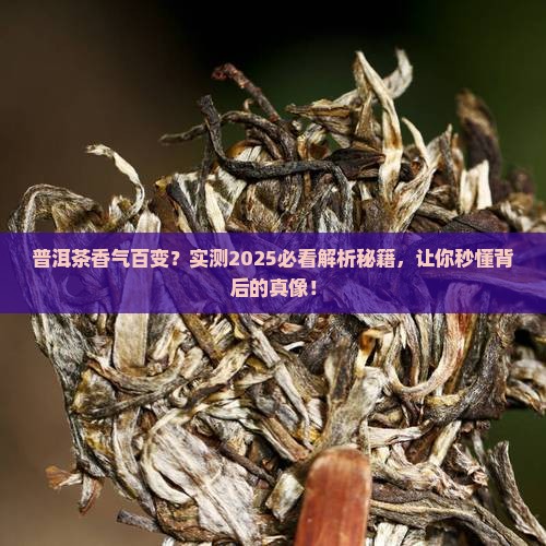 普洱茶为什么还有各种香
