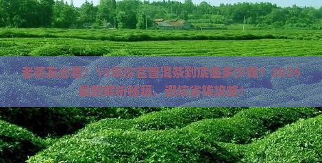 13年的珍茗普洱茶值多少钱