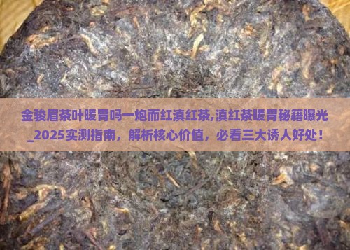 金骏眉茶叶暖胃吗一炮而红滇红茶