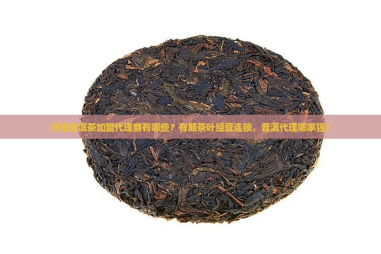 济南普洱茶加盟代理商有哪些