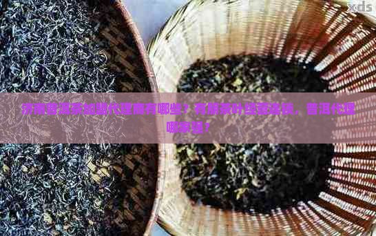 济南普洱茶加盟代理商有哪些
