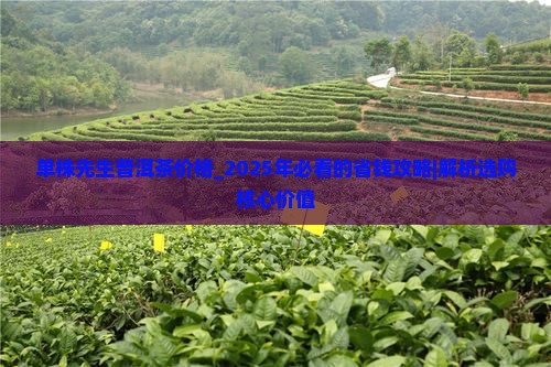 单株先生普洱茶价格