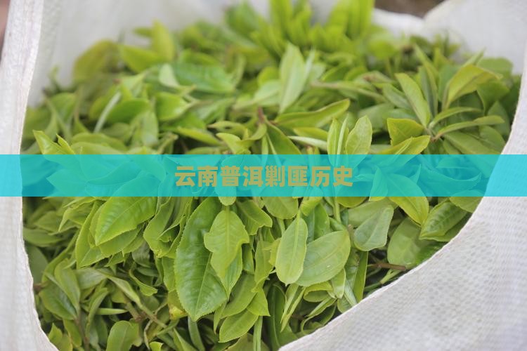 云南普洱剿匪史
