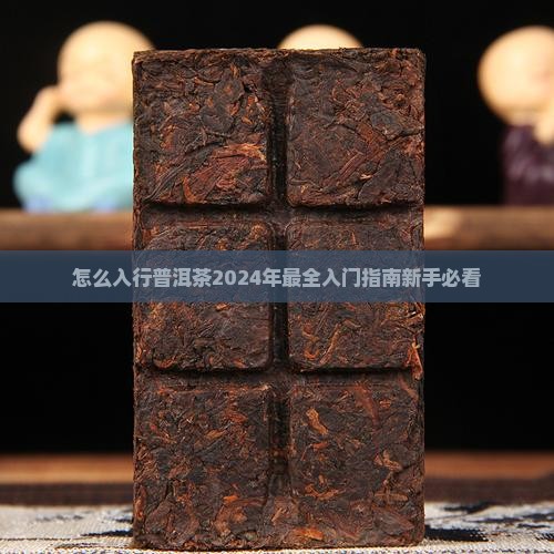 怎么入行普洱茶