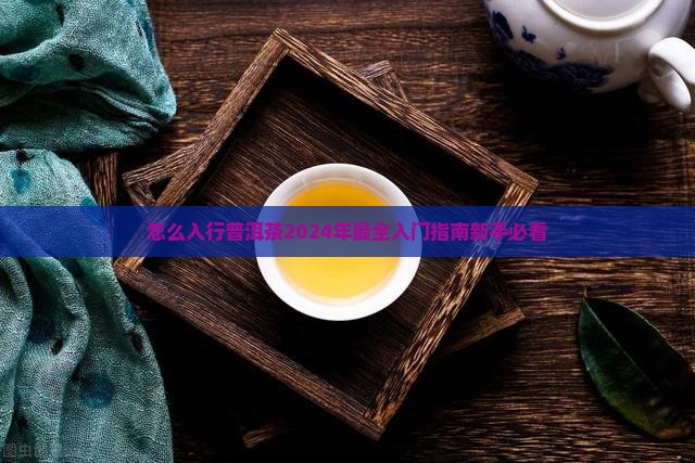 怎么入行普洱茶