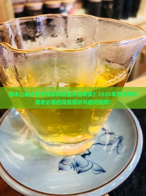 西半山最大的普洱茶 西半山最大的普洱茶