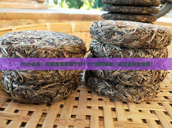 中粮普洱茶哪个好