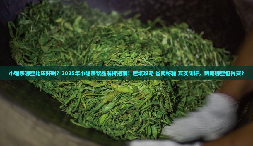 小确茶哪些比较好喝