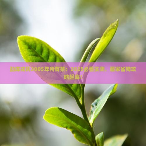 勐库戎氏2005年所有茶