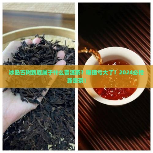 冰岛古树属于什么普洱茶