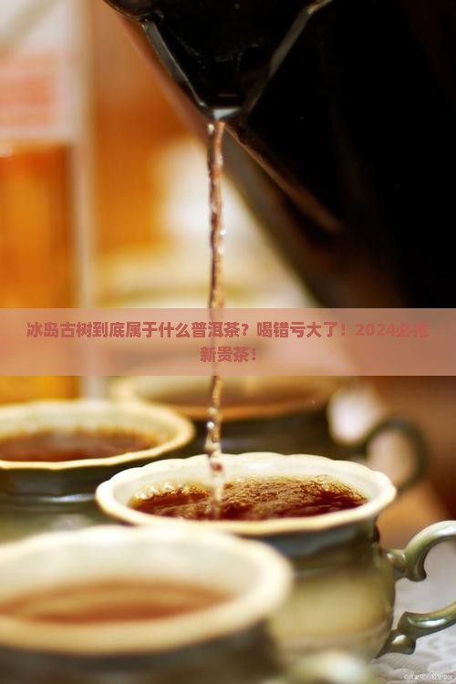 冰岛古树属于什么普洱茶