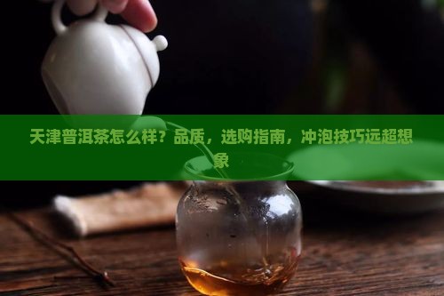 天津普洱茶怎么样
