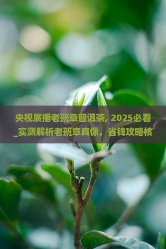 央视展播老班章普洱茶