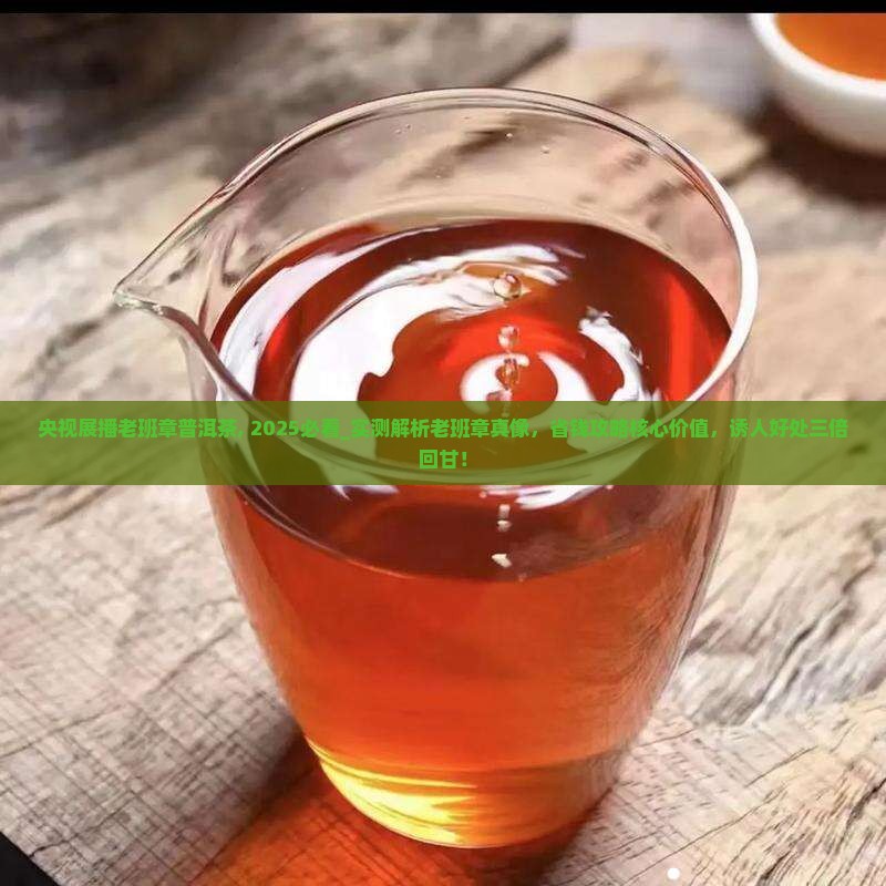 央视展播老班章普洱茶