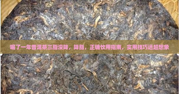 喝了一年普洱茶三脂没降
