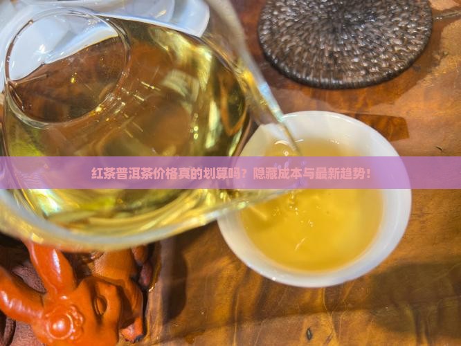 俄罗斯红茶普洱茶价格