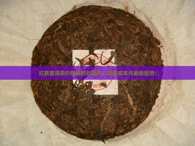 俄罗斯红茶普洱茶价格