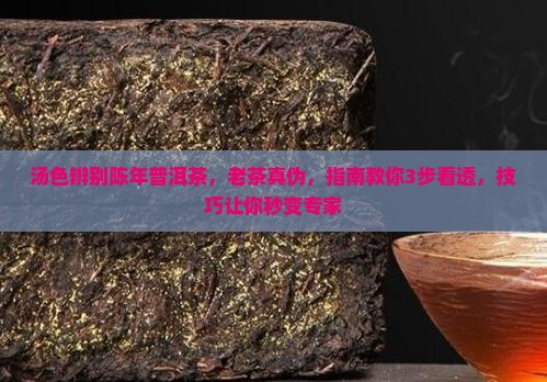 汤色辨别陈年普洱茶