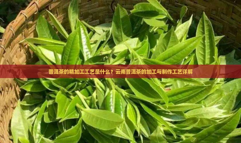 普洱茶的精加工工艺是什么