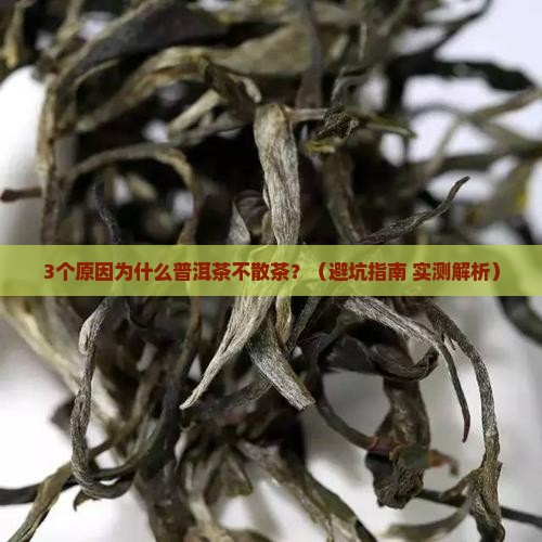 普洱茶为什么不散茶