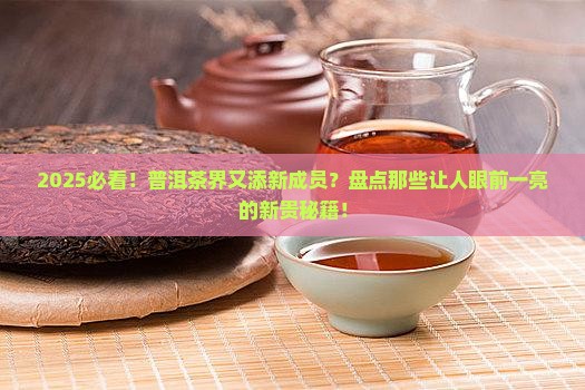 普洱茶有什么新品种 普洱茶有什么新品种