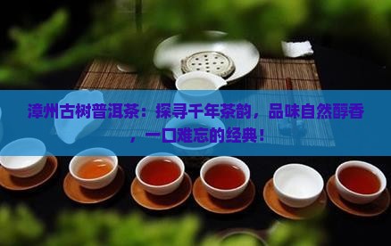 漳州古树普洱茶