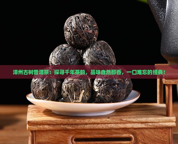 漳州古树普洱茶