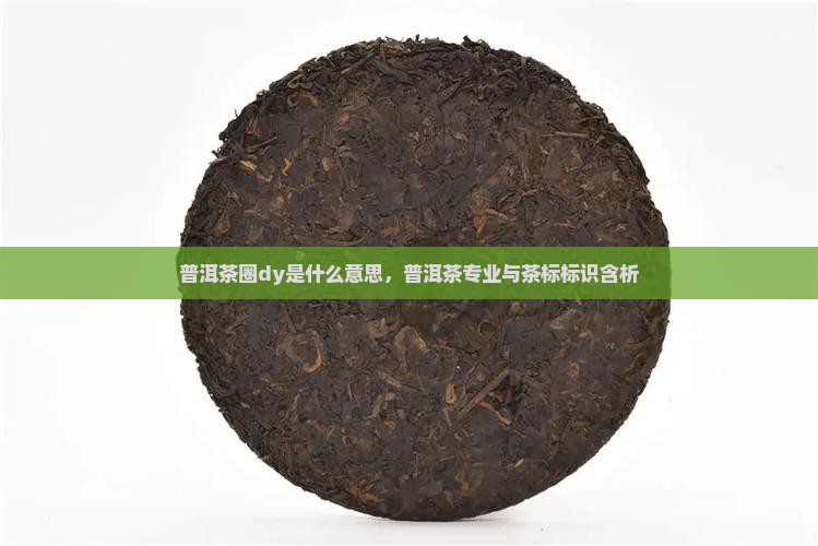 普洱茶圈dy是什么意思