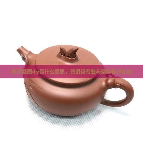 普洱茶圈dy是什么意思