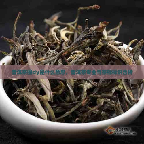 普洱茶圈dy是什么意思