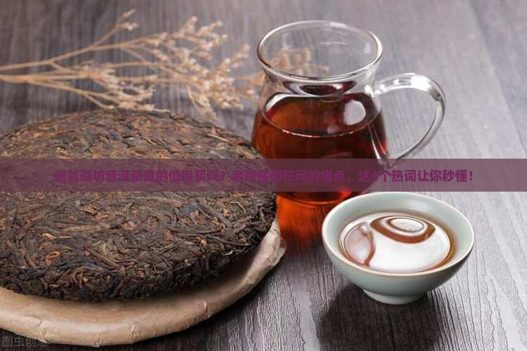 逸翁茶坊普洱茶