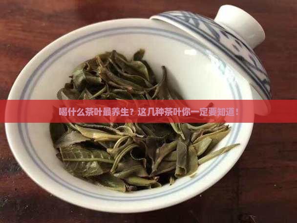 喝什么茶叶最养生