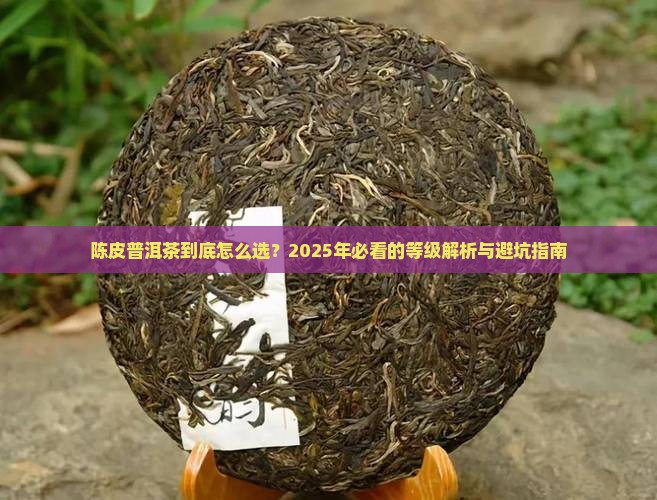 陈皮普洱茶等级