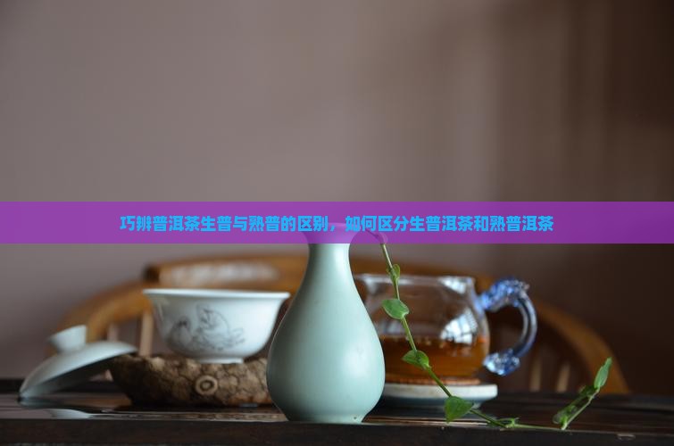 巧辨普洱茶生普与熟普的区别