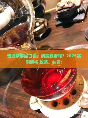 普洱茶上一层白霜