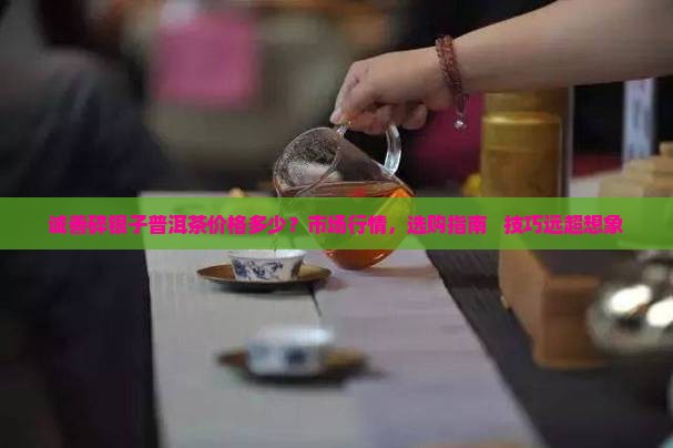 诚善碎银子普洱茶价格 诚善碎银子普洱茶价格