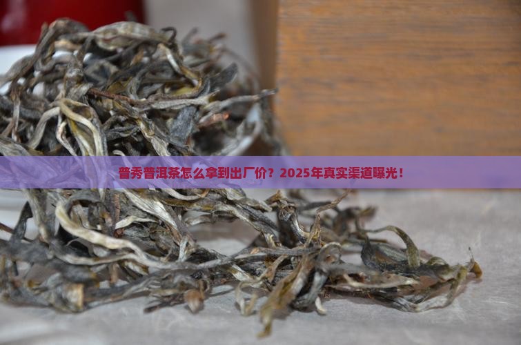 普秀普洱茶怎么拿到出厂价