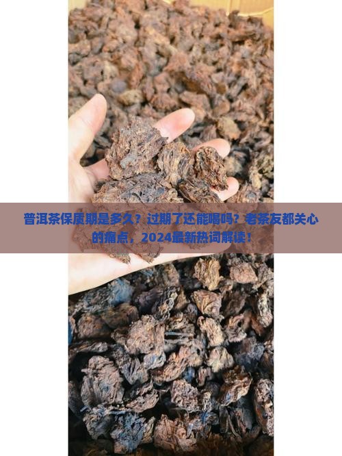 普洱茶有保质期吗会过期吗