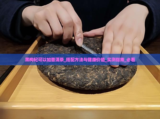 黑枸杞可以加普洱茶