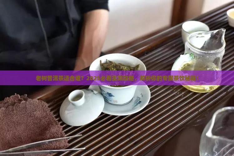 老树普洱茶适合什么人呵
