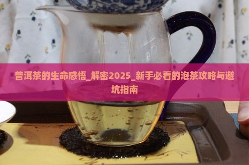 普洱茶的生命感悟