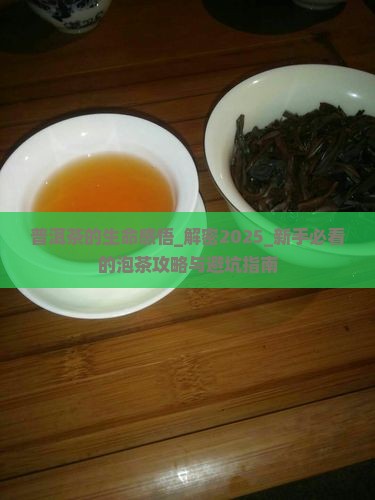 普洱茶的生命感悟