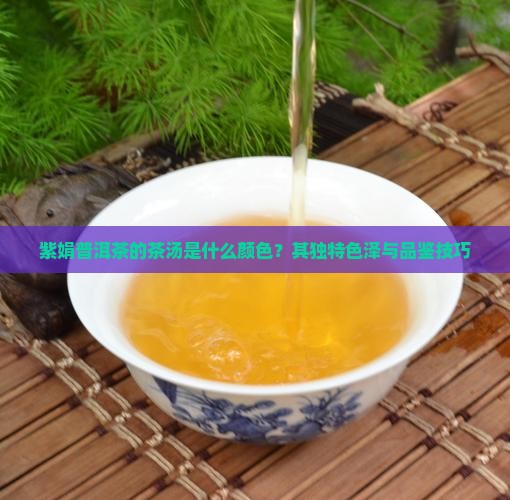 紫娟普洱茶的茶汤是什么颜色