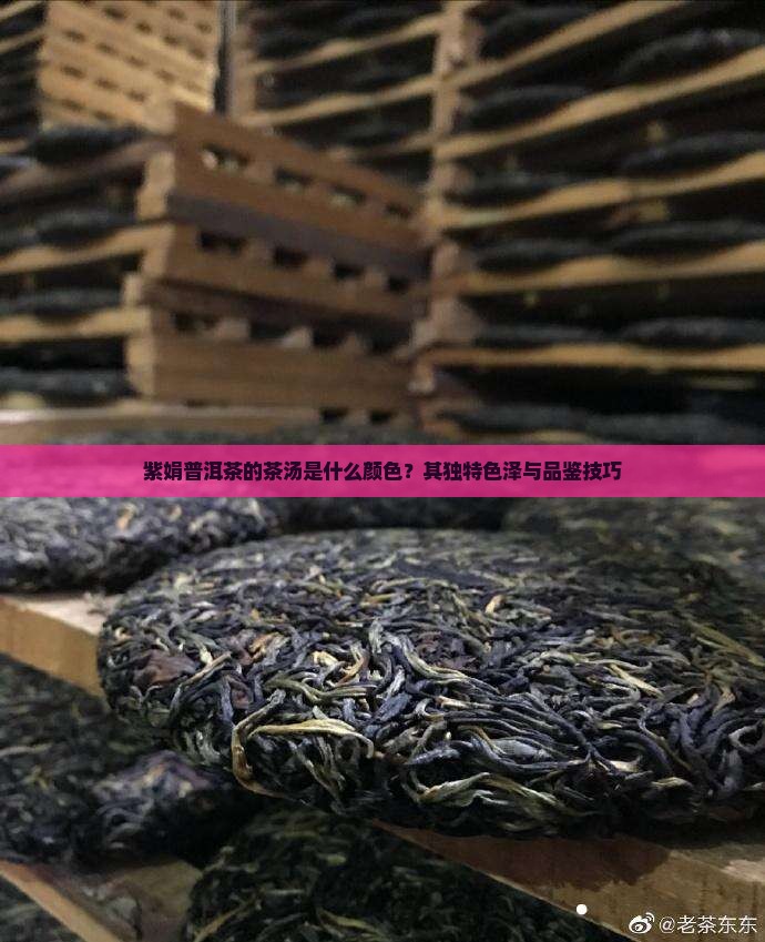 紫娟普洱茶的茶汤是什么颜色