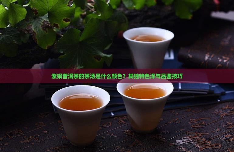 紫娟普洱茶的茶汤是什么颜色
